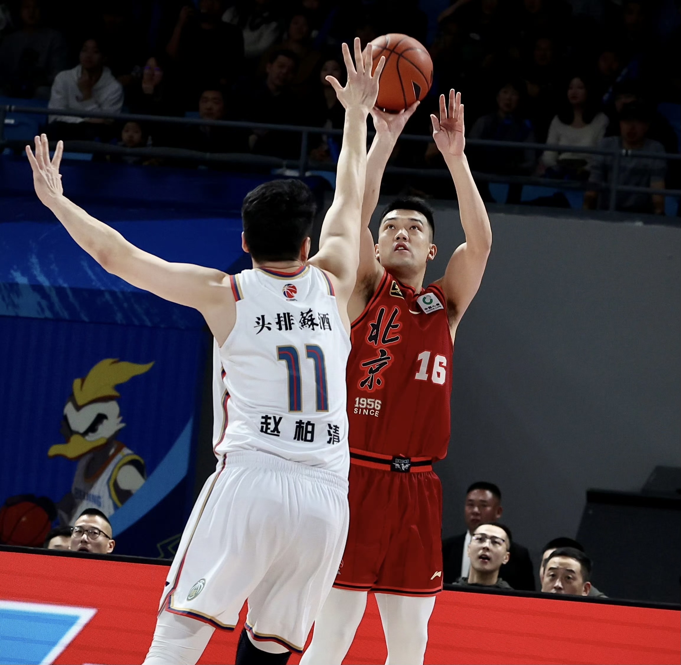 北京队力克太阳，王哲林带队取胜