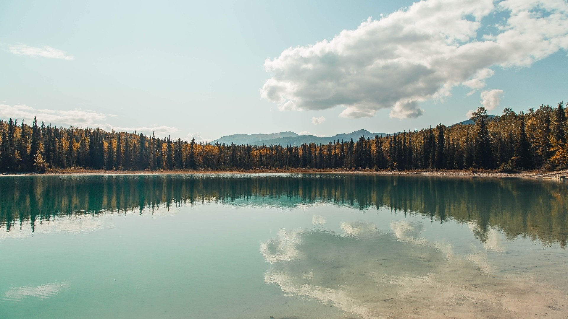 维京战吼与孤胆英雄，当丹麦血拼雷恩，京多安成为关键先生