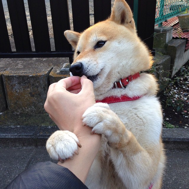 新王当立！亚特兰大力克曼联，罗德里戈一剑封喉成关键先生