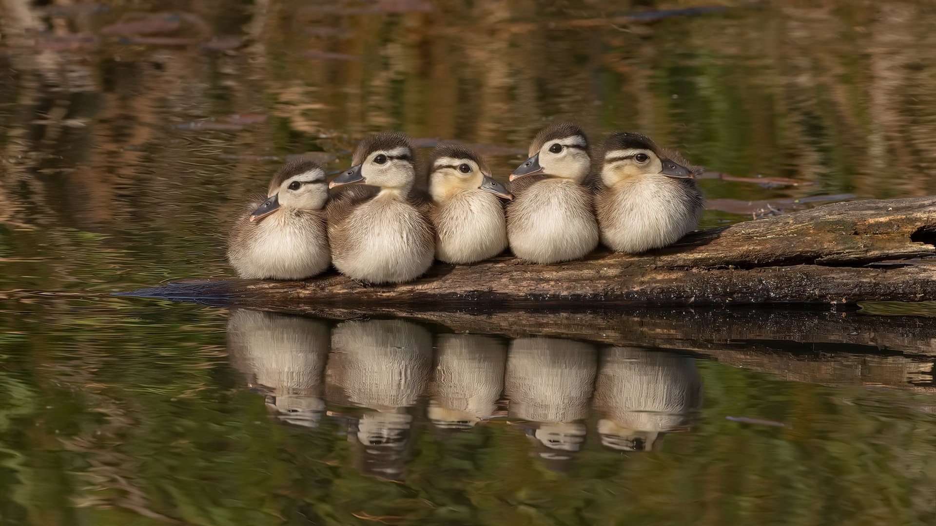 铁骑破日，马刺窒息式防守绞杀太阳，西部之巅再起风云