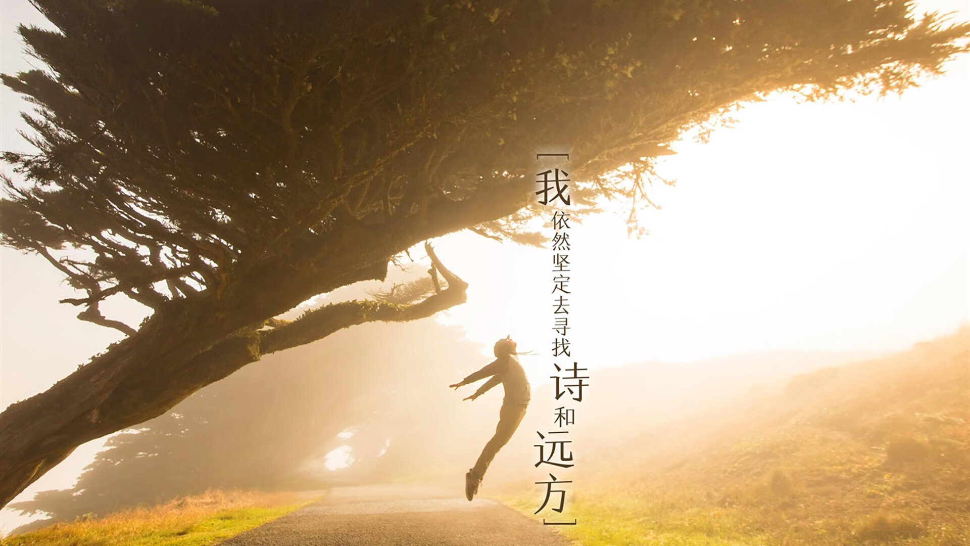 老兵不死!浓眉哈达迪砍30+20,四川猛龙爆冷掀翻卫冕冠军辽宁