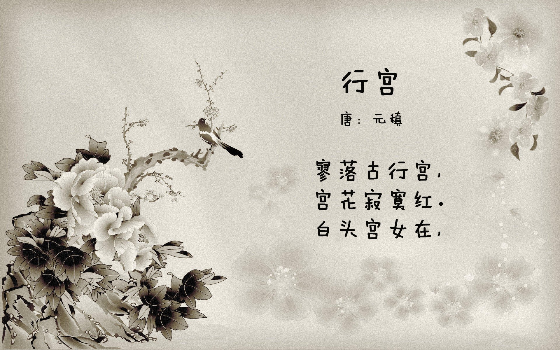 隐形指挥官，当哈利伯顿在麦迪逊花园按下静音键