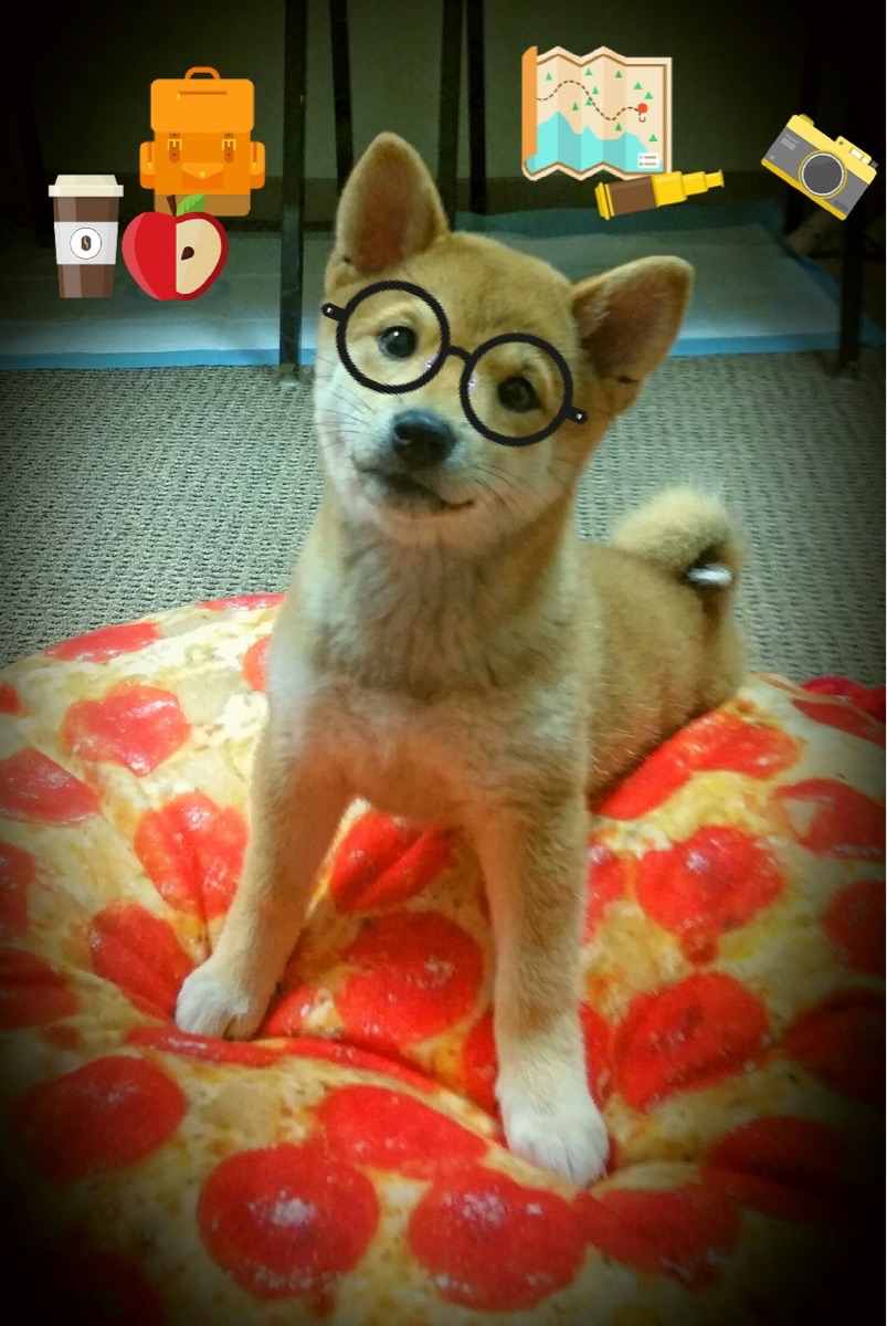 几内亚之盾如何拆解安哥拉战车?巴尔韦德导演逆袭剧本