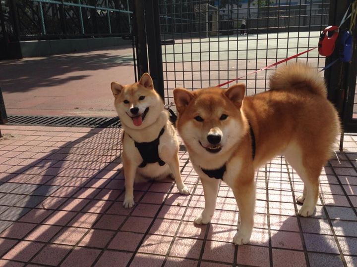 他以神迹之名重塑联盟,凯塞多的武器库里没有可能二字