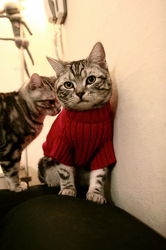 锡安如日凌空，单节统治力焚尽热火反扑焰芒