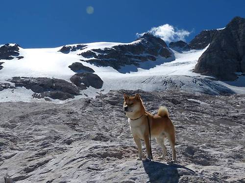 封神之夜！金玟哉制空霸权扼杀马竞，安哥拉奇迹昂首过关