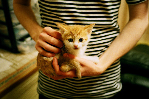 唯一性闪耀，太阳生死战擒狼，文班亚马季后赛接管比赛