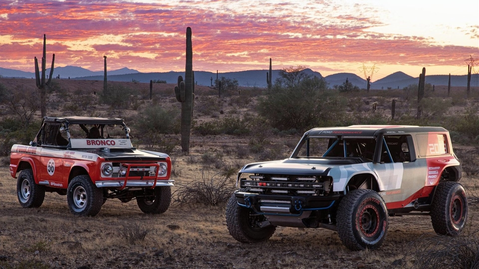 欧文破茧成蝶！全面数据爆炸引领猛龙生死棋突围老鹰