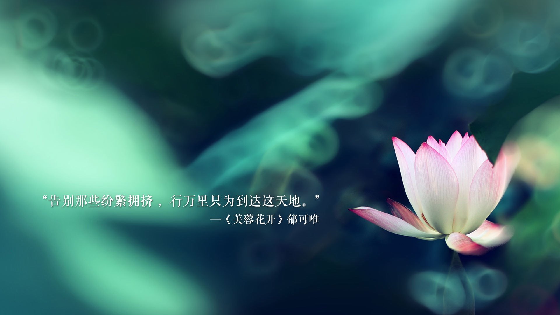 2026的孤独交响曲，当范戴克用灵魂指挥，罗马尼亚在E组奏响唯一的不败神话